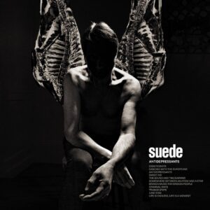 suedewit