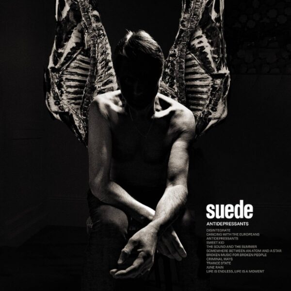 suedewit